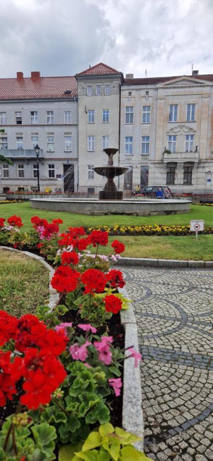 Apartament Ksiaz Świebodzice Buitenkant foto